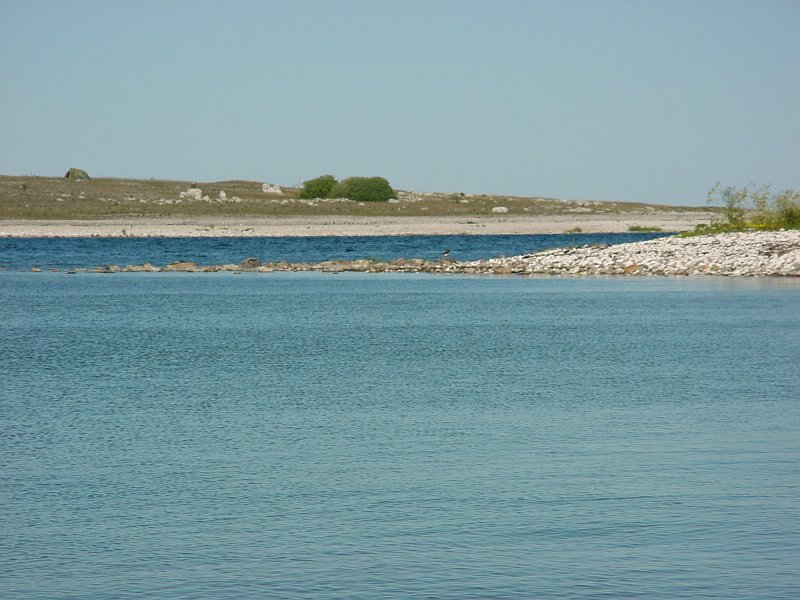 DSC00048.JPG