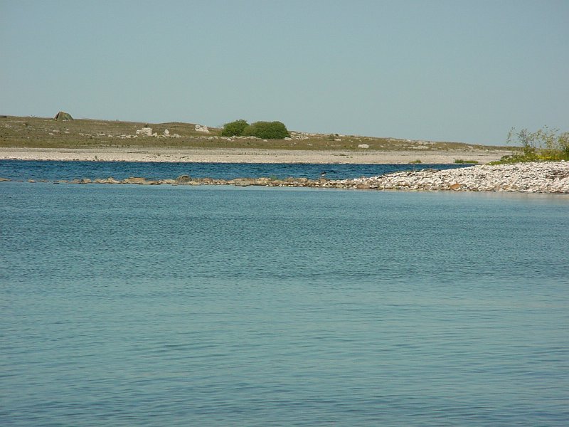 DSC00049.JPG
