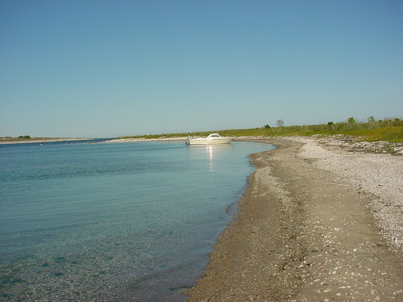 DSC00054.JPG