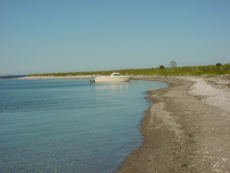 DSC00055.JPG